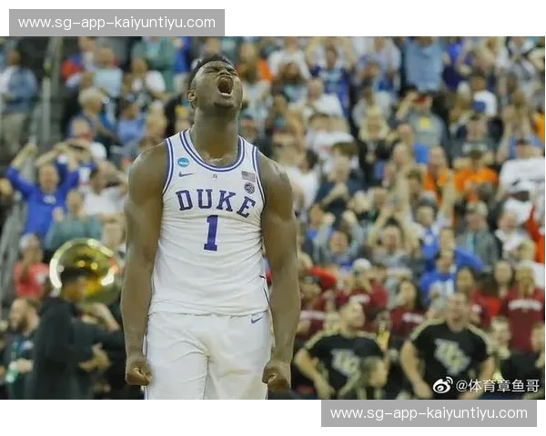 开云体育热门标签：引爆你对体育的新认知